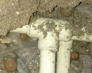 南华测漏水多少钱