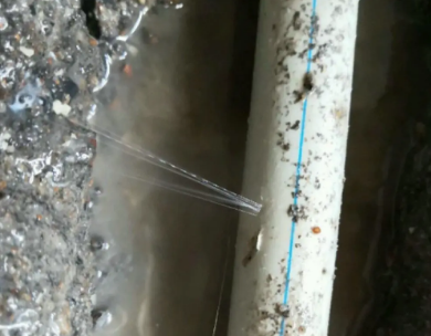 南华测漏水哪家好