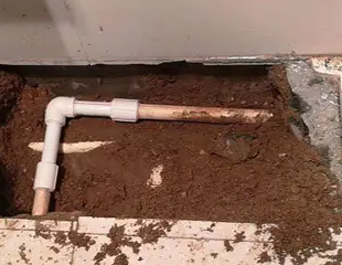 南华测漏水哪家好