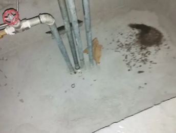 南华卫生间测漏水价格明细