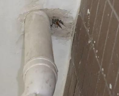 南华漏水检测哪家好